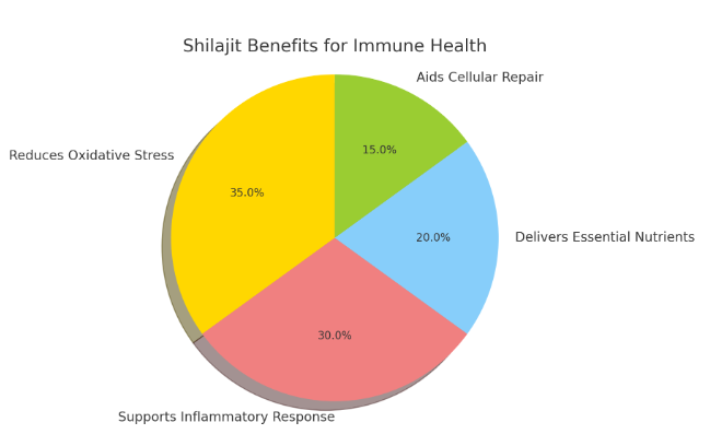 How Shilajit Boosts Immune System Health
